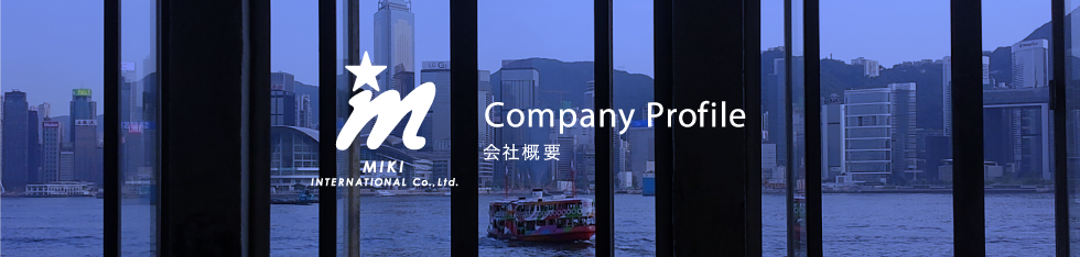 Company Profile ЊTv